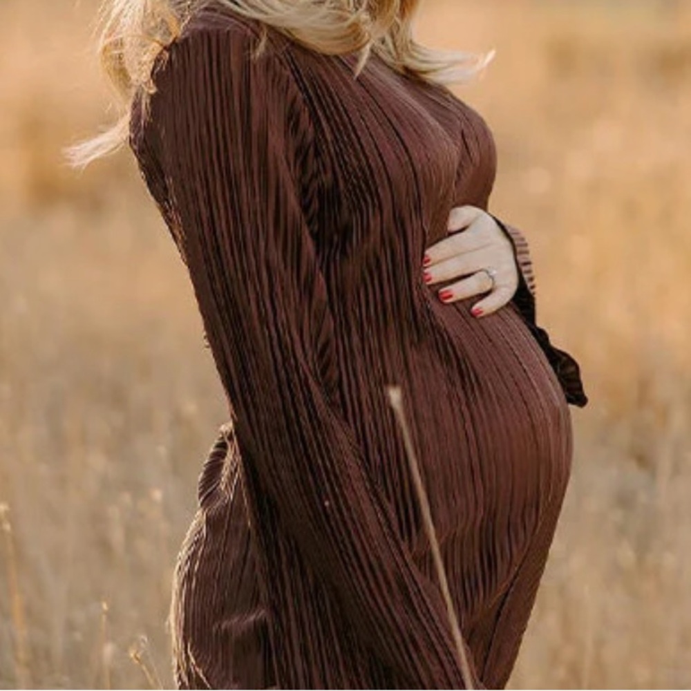 Chic Copper Long Sleeve Dress (MATERNITY)